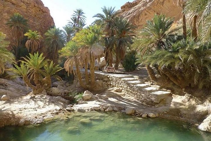 Tozeur & Oasis